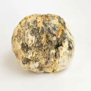 Ambergris Whale Vomit Ambergris