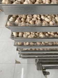 Freeze-<b>dried</b> Mangosteen Crispy Sweet <b>Fruit</b> Snack Vietnam Custom Label Retail Packaging 50g 100g Dry Mangosteen Factory Price - Product Image 5