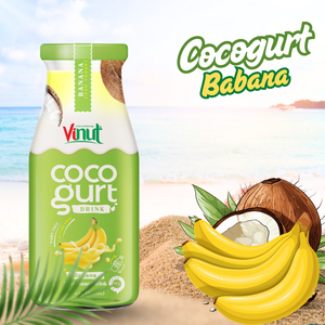 เครื่องดื่ม cocogurt ได้รับการรับรองฮาลาลโคเชอร์280มล. กล้วย OEM ODM ฉลากส่วนตัว - Product Image 3