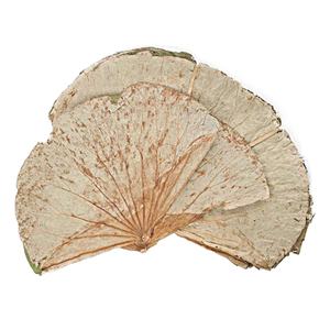 Produit chaud!!! Feuilles de LOTUS séchées du VIETNAM avec un prix compétitif et une qualité STANDARD élevée en 2022 - Product Image 3