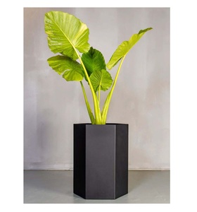 Customizable metal flower <b>pot</b> and planter with golden base and black top crafted for high contrast home decor aesthetics - Product Image 6