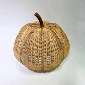 Outdoor <b>Indoor</b> Pet Furniture Rattan Steel <b>Cat</b> Round <b>Cage</b> Pet Egg Chair - Product Image 4