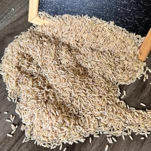 Vente en Gros Riz Brun Long Grain Jasmin du Vietnam Riz Séché Aromatique au Meilleur Prix 500gr & 5kg Sacs Sous Vide Disponibles/ANNA - Product Image 3
