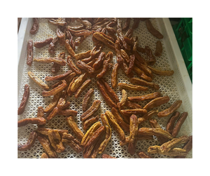 Banane séchée douce de qualité supérieure du Vietnam-Banane séchée douce à texture moelleuse de couleur dorée pour les acheteurs en gros - Product Image 3