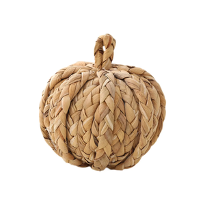 Vente en gros de style ferme jacinthe d'eau citrouille Halloween décor fait à la main vietnamien vente chaude durable livraison rapide usine - Product Image 1