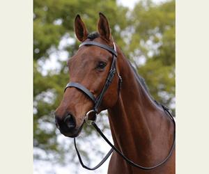 Bride Cavesson II plate de haute qualité conçue sur mesure en gros bon marché bride à mors en cuir de cheval - Product Image 2