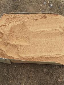 Precio más barato polvo de incienso-Polvo de Agarbatti al por mayor con el precio más barato-Exportación de polvo de madera de pureza en todo el mundo - Product Image 5