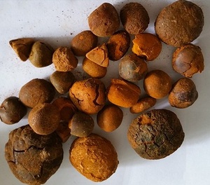 Ulk Sample-piedras de vaca natural, 10g, Ox gallstones Ox Cow gallstones bezoar - Product Image 5