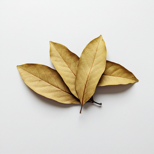 Feuilles de corossol séchées au soleil, traitées naturellement et riches en saveur authentique - Product Image 3