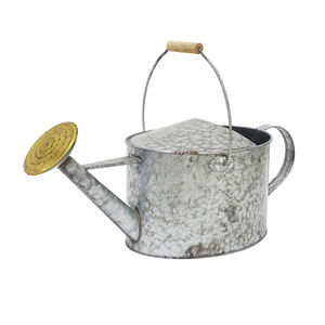 LOW quantité minimale de commande Jardinière en métal fait à la main pour la décoration de la maison et du jardin Décoration de jardin Arrosoir en fer métallique pour la maison - Product Image 5