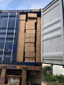 Manta de Fibra de Coco para Agricultura Orgánica y Jardinería Doméstica, Protege las Raíces, Apoya la Salud del Suelo y el Desarrollo de las Plantas, Blue Lotus Darius Phan - Product Image 6