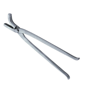 เครื่องมือตอกตะปูเกือกม้า 12 นิ้ว ปากโค้ง สำหรับตอกตะปูเกือกม้า  เครื่องมือช่างเกือกม้า อุปกรณ์ดูแลสัตว์ - Product Image 4