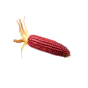 Maïs rouge séché pour supermarchés, restaurants et grossistes - Product Image 1