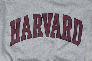 Harvard Trường Đại Học áo chính thức được cấp phép 100% bông cong khối crewneck lỏng phù hợp với chiều dài dài kỹ thuật số cho mùa đông - Product Image 3