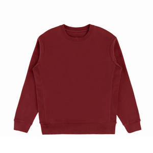 Sweatshirts d'entraînement à manches longues vierges avec impression de logo personnalisée en gros pour homme sweats à capuche - Product Image 4