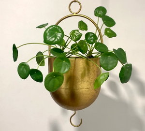 Stylish Gold <b>Hanging</b> <b>Planter</b> Handle <b>Indoor</b>-Outdoor Home Garden Decorative Flower Vase <b>for</b> Plants <b>Hanging</b> Baskets Product - Product Image 1