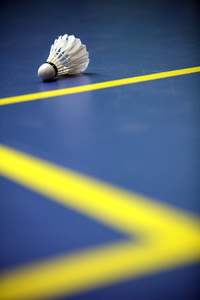 Volants de badminton professionnels personnalisés RX Sports SR24 en gros, haute qualité, durables, en plumes d'oie, écologiques, pour le sport - Product Image 3