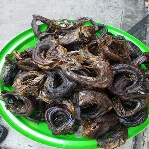 Eksportir Ikan Lele Beku Steak Ikan Lele Afrika Fillet Ikan Lele Segar dari Vietnam