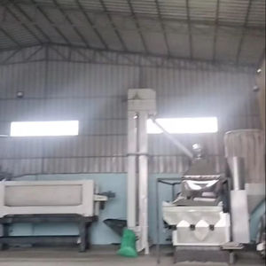 ผลิตภัณฑ์ทางการเกษตรถั่วไตขาวพรีเมี่ยม - Product Image 5