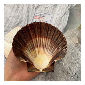 Copa de vino artesanal con concha de vieira estilo costero para elegantes manteles - Product Image 1