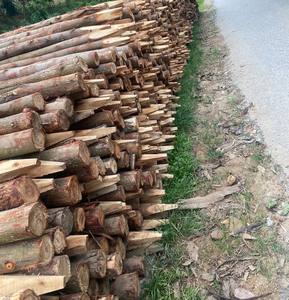 Best Wood Piles for Construction/<b>formwork</b>/structural Timber, Wood Stakes with Cheap Price and High Quality - Product Image 4