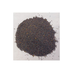 Suministro a granel de colza con entrega rápida para uso alimentario e industrial - Product Image 6