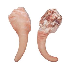 Queue de porc congelée de haute qualité | Viande de queue de porc à des prix bon marché Fabricant de Allemagne dans le monde entier Exportations - Product Image 2