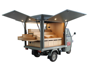TVS KING DELUXE PLUS Triciclo Motorizado de Pasajeros de Alta Calidad con Motor de Gasolina Refrigerado por Agua, Carrocería Cerrada, Tipo Rickshaw Tuk Tuk 151-200cc 36V - Product Image 2