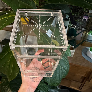 <span class=keywords><strong>Terrarium</strong></span> en acrylique transparent pour <span class=keywords><strong>araignée</strong></span> sauteuse pour tarentule et mante religieuse - Product Image 5