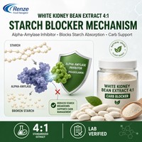Extrait de haricot blanc 4:1, poudre inhibitrice d'alpha-amylase, bloquant de phaseolamine pour la gestion du poids