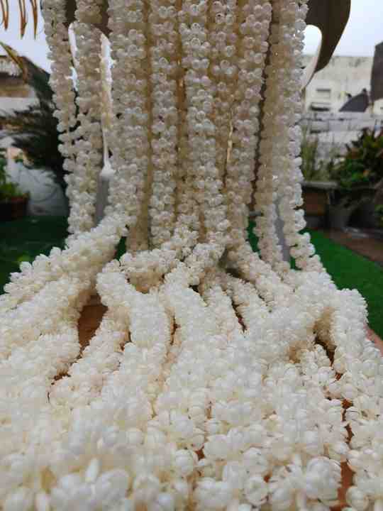 Artificial Jasmine Backdrop Curtain for South Indian Weddings & Eids Islamic Nikah Pardah Partition for Bride & Groom Decor
