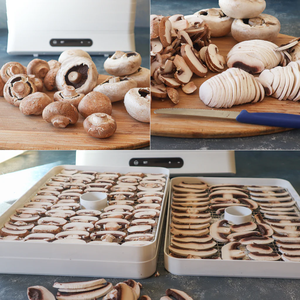 ผงเห็ดออร์แกนิก เกรดอาหารธรรมชาติ สารสกัดจากเห็ด จำหน่ายแบบขายส่ง - Product Image 4