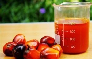 ACEITE DE PALMA REFINADO/Aceite de Palma Rojo/Aceite de Palma Crudo - Product Image 3