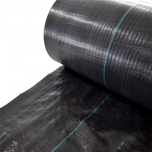 Membrana tejida PP, tela de paisaje, cubierta de suelo antimalezas, película de mantillo, barrera de tela de Control de hierba, redes de plástico - Product Image 3