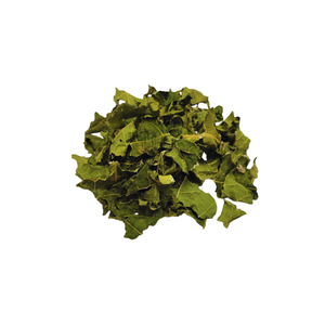 FEUILLES DE PAPAYE SÉCHÉES MEILLEUR VENDEUR FEUILLES DE PAPAYE SÉCHÉES FEUILLES DE PAPAYE BIOLOGIQUES - Product Image 2