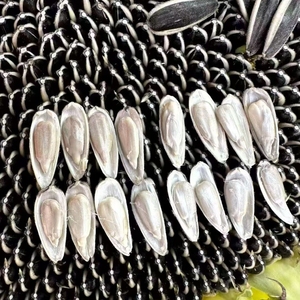 Graines <span class=keywords><strong>de</strong></span> melon séchées <span class=keywords><strong>de</strong></span> haute pureté (taux <span class=keywords><strong>de</strong></span> germination <span class=keywords><strong>de</strong></span> 95%) pour la plantation, graines agricoles en gros pour l'extraction d'huile - Product Image 4