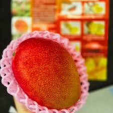 มะม่วงมิยาซากิสด-ผลไม้เมืองร้อน100% ความหวานและสดจากญี่ปุ่น6กก. - Product Image 4