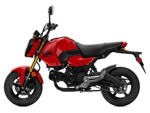 มอเตอร์ไซค์ Gromm GROM125T ปี 2026 พร้อมจำหน่าย มีสินค้าในสต็อก - Product Image 2
