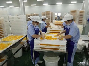 Hot Sale Soft Dry Mango Perfect 100% Mango Low Sugar To <b>Uk</b> From Vietnam - Product Image 2