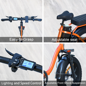 Vélos électriques de ville pliants de 20 pouces pour adultes 250w 36v 13ah Factory Direct Fat Tire Ebike VTT et vélo électrique tout-terrain - Product Image 5