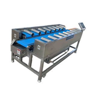 Tự động Băng tải vành đai đối trọng kiểm tra định lượng - Product Image 2