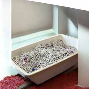 Litière pour chat bentonite indienne en vrac | Solution agglomérante rapide, à faible teneur en poussière et sans odeur pour les soins des animaux de compagnie - Product Image 5