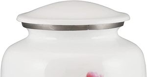 Urnas de cremación de colibrí para cenizas humanas, urna para adultos para funeral, columbario o hogar para adultos, 200 pulgadas cúbicas con terciopelo - Product Image 4