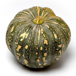 CALABAZA FRESCA DE NUEVA CULTIVO-CALABAZA EXPORTACIÓN A GRANEL ALTA CALIDAD PRECIO ESPECIAL - Product Image 3