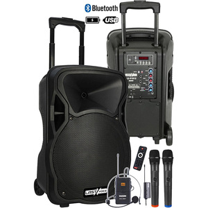 Sistema de PA Portátil Lastvoice LS-P1912EX, Woofer de 12 Pulgadas, Potencia Pico de >800W, 2.0 Canales, Micrófono Incorporado, Control Remoto - Product Image 4