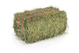 Heno de Alfalfa de Primera Calidad para Ganado Vacuno, Caballos y Cerdos - Empaquetado en Pacas, Suministro al por Mayor - Product Image 6