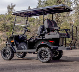 Fournisseur direct de voiturettes de golf électriques au prix de gros - Product Image 6