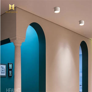 Moderne 9W 12W 18W Indoor Plafond Ijzeren Cilinder Downlight Dimbaar Oppervlak Mount Hanger Voor Thuiskantoor - Product Image 6