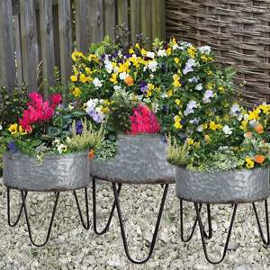 Jardinières galvanisées écologiques pour jardinage durable Jardinière galvanisée décorative pour jardins de patio et de balcon - Product Image 6