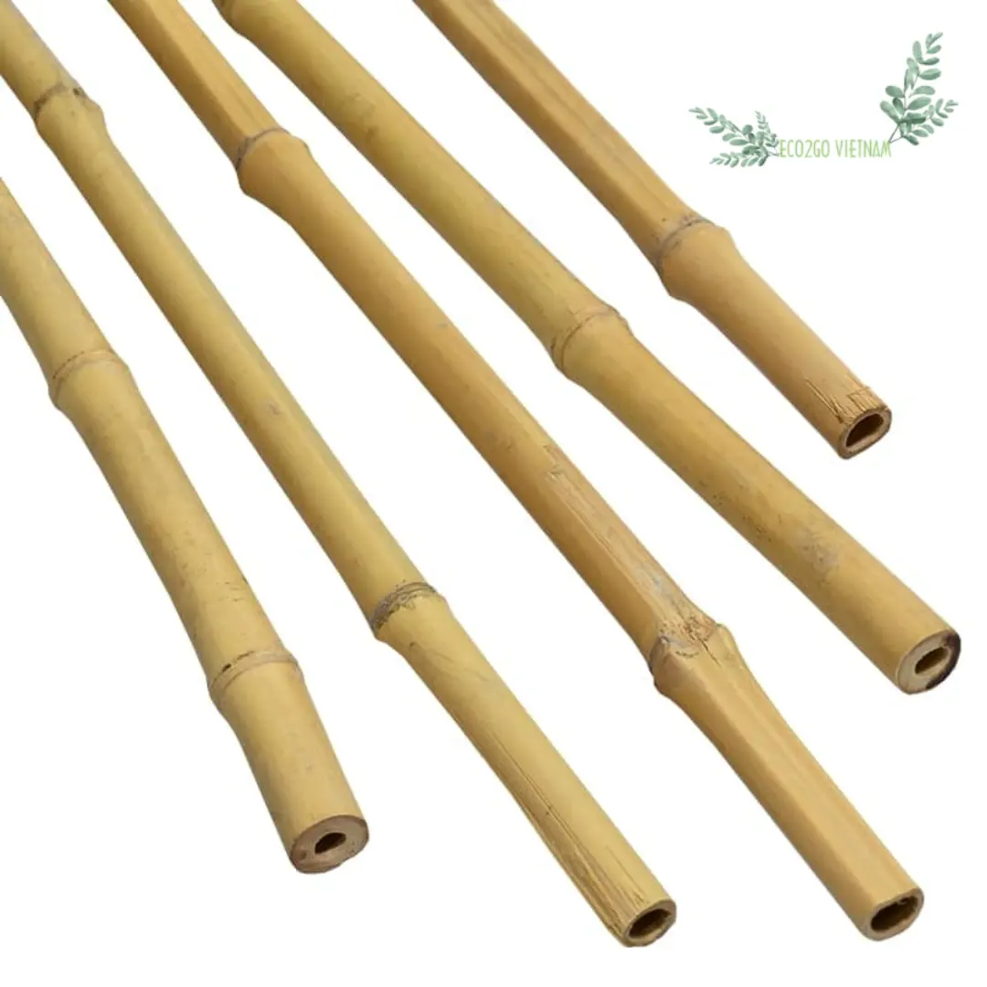 [Hot Hot] Beste Prijs Bamboe Palen Voor De Bouw En Bamboe Paal Vietnam Met Hoge Kwaliteit Natuurlijke Bamboe Gemaakt Door Eco2go